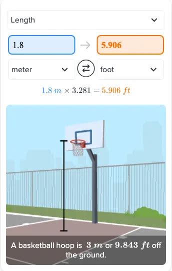 1 8 Meters In Feet Top
