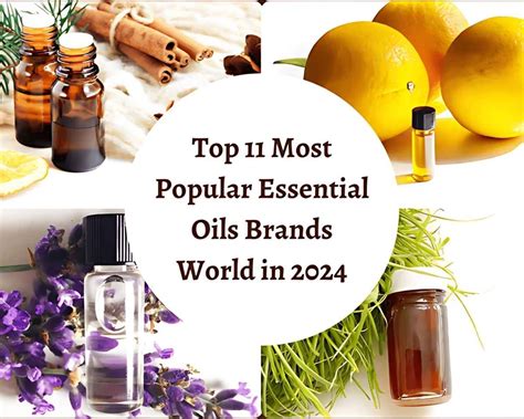 10 Best Essential Oils Brands In 2024 Usa Essential Oils Brands 10 Best Essential Oils Brands In 2024 Usa Essential Oils Brands