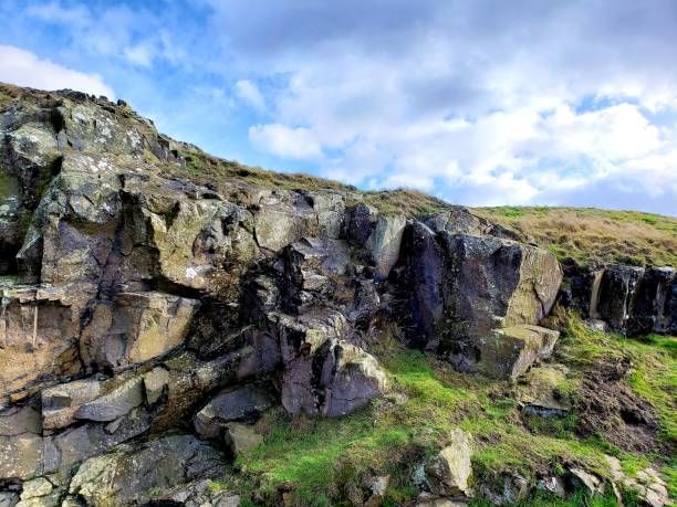 489 Photos High Res Pictures Getty Images