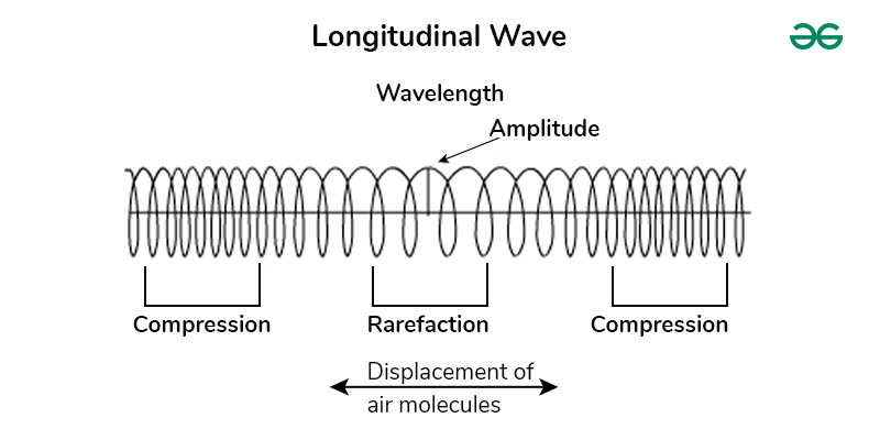 A Longitudinal Ultrasound Image Showing A Hypoechoic Lesion Involving Download Scientific Diagram A Longitudinal Ultrasound Image Showing A Hypoechoic Lesion Involving Download Scientific Diagram