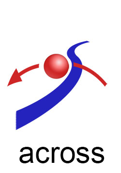 Navigating Business Growth Across International Boundaries Like a Global Voyage