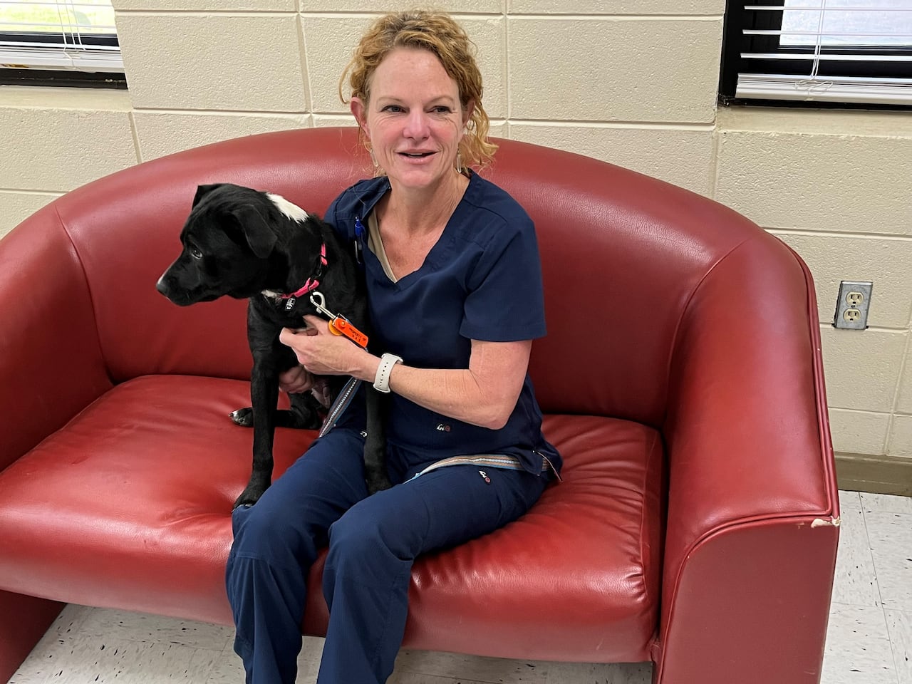 Adopters Fosters Needed To Relieve Overcrowded Huntsville Animal Adopters Fosters Needed To Relieve Overcrowded Huntsville Animal