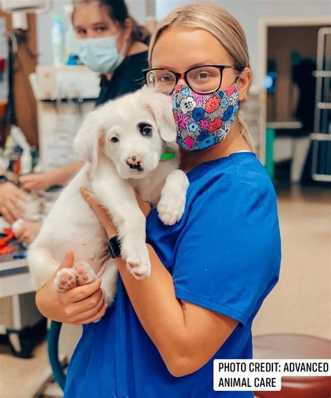 Advanced Animal Care Richmond Ky Mallie Berman Advanced Animal Care Richmond Ky Mallie Berman