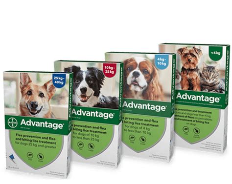 Advantage Pet Care Services