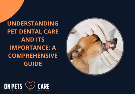 5 Ways Affordable Dog Dental Care