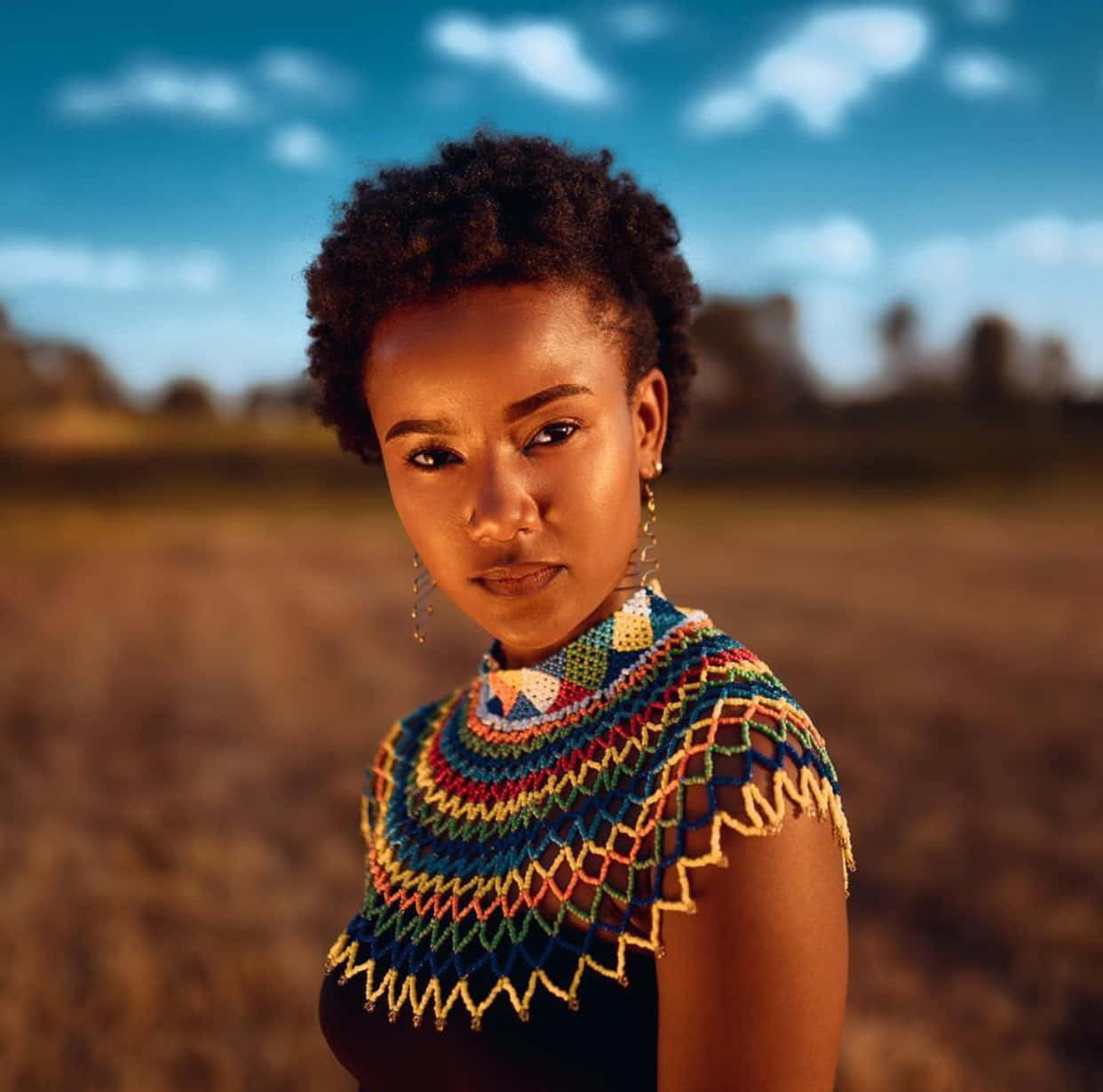 African Wild Dog Lycaon Pictus Canine Species Predators Mammals African Wild Dog Lycaon Pictus Canine Species Predators Mammals