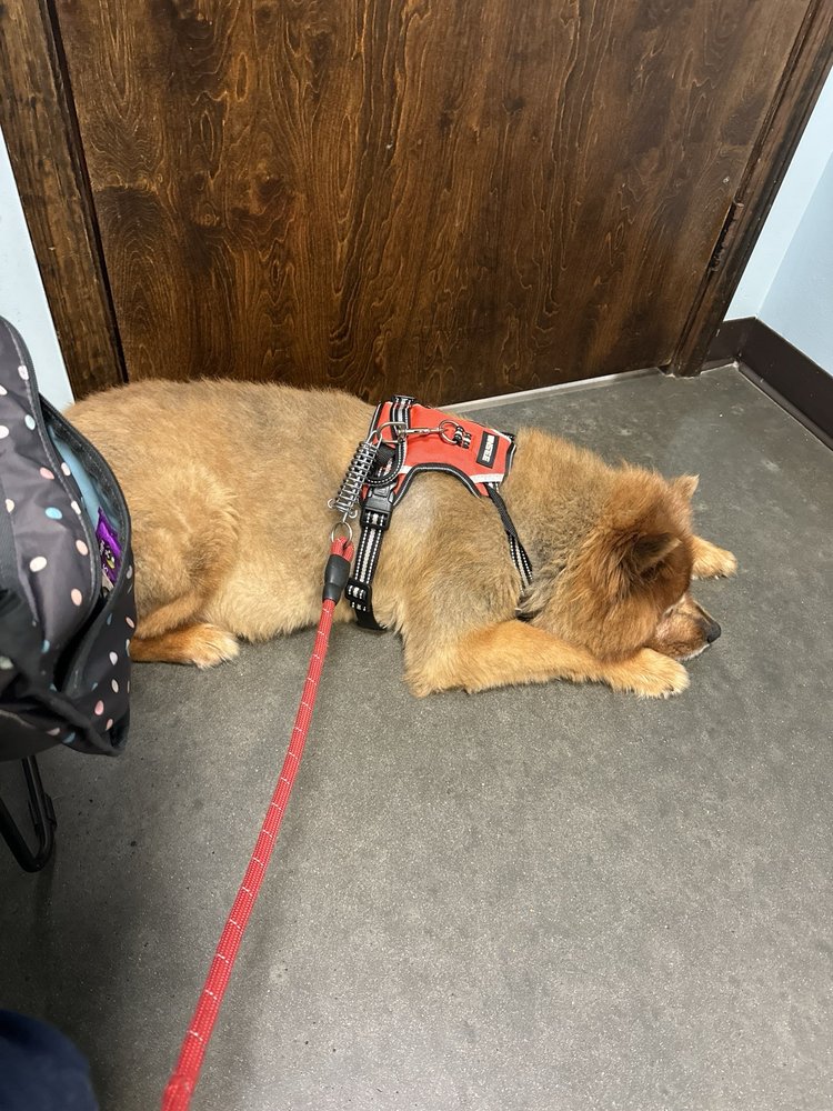 Wiggins MS Animal Care Clinic