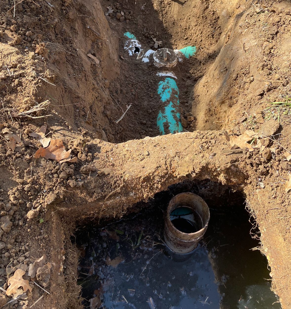 Discover the Best Ways to Use Anytime Austin for Newcomers