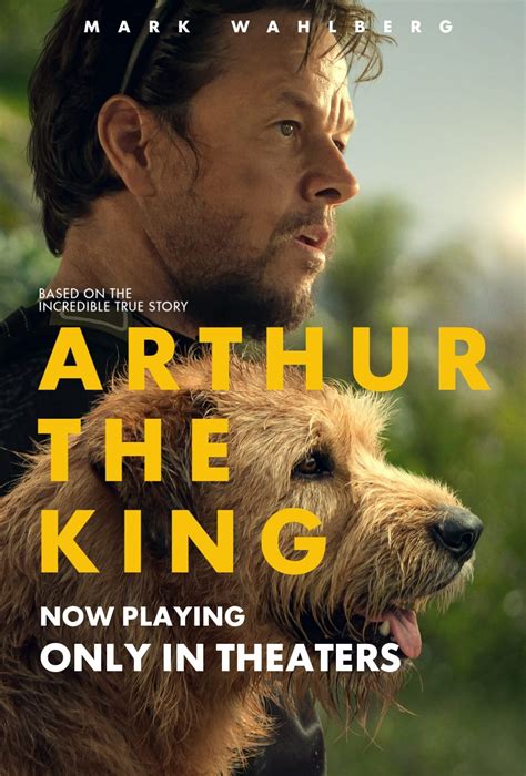 Why Understanding the Arthur the King Streaming Release Date Matters to Fans