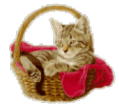 At T Service Plans And Coverage Review Florida Cell Phone Coverage At T Service Plans And Coverage Review Florida Cell Phone Coverage