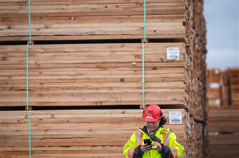B C First Nations And Logging Firm Want Walbran Valley Old Growth B C First Nations And Logging Firm Want Walbran Valley Old Growth