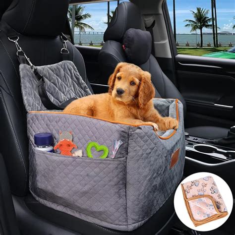 Best Car Dog Beds