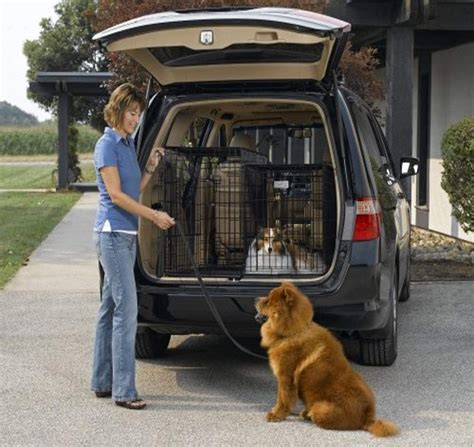 Top 5 Car Dog Crates