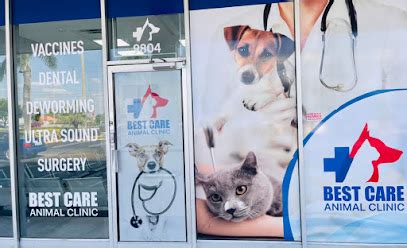 5 Tips Best Care Animal Clinic