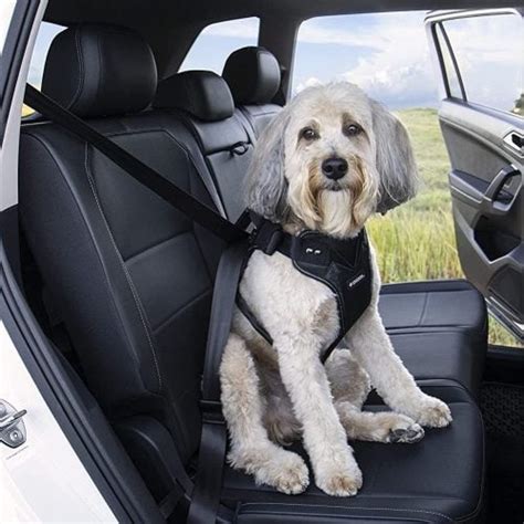 Best Dog Seat Belt Harness Velcromag