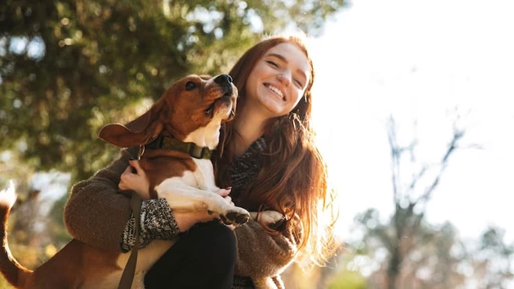 Best Pet Care Services For Stress Free Pet Sitting Pawland Best Pet Care Services For Stress Free Pet Sitting Pawland