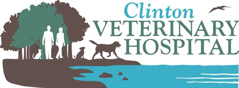 Best Veterinary Hospital In Clinton Ct 06413 Clinton Veterinary Hospital