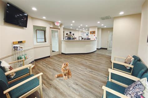 Best Veterinary Hospital In Flanders Nj 07836 Flanders Veterinary Clinic