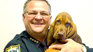 Brevard County Animal Services Offering Free Adoptions For The Month Of