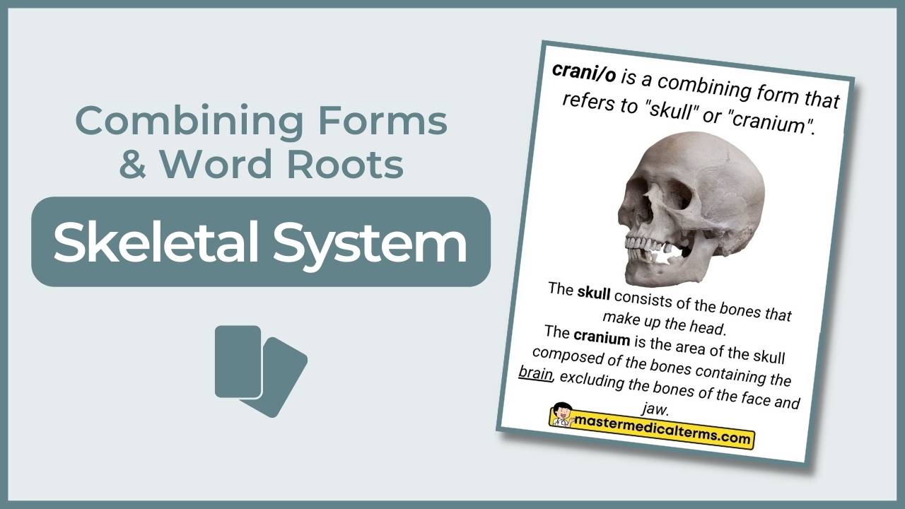 Bucc O Master Medical Terms Bucc O Master Medical Terms