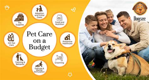 Budget Pet Care Review