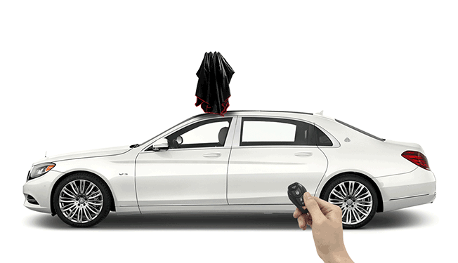 5 Cat Air Freshener Tips