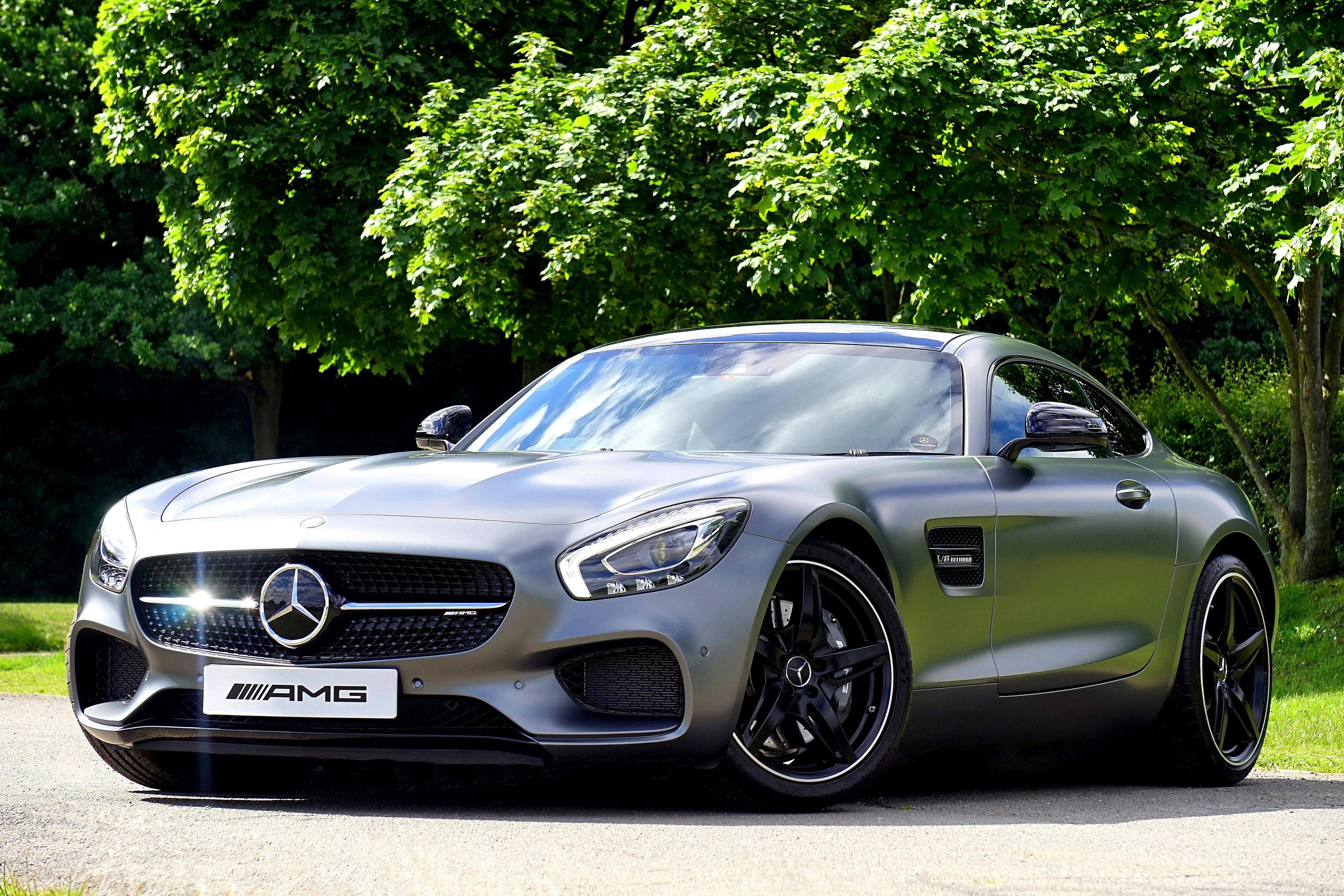 Car Pet Net for Safe Travel