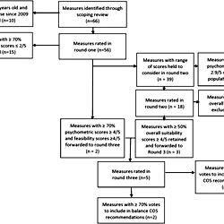 Characteristics Of Measures Included In Standing Balance Cos Download Table