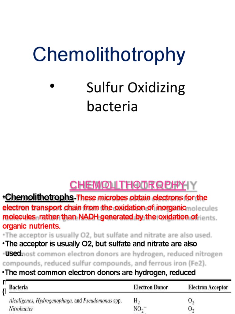 Understanding the Role of Chemolithotrophs in Earth's Ecosystems