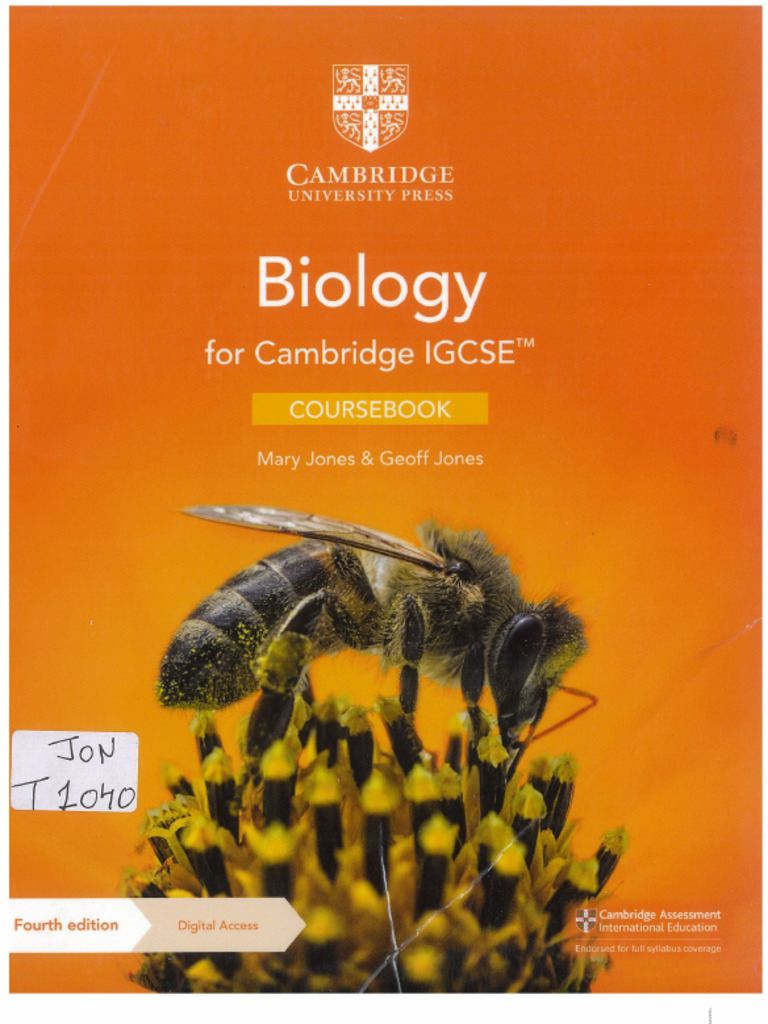 Cie Igcse Biology 6 1 1 Photosynthesis