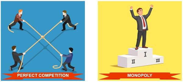 Competition Between Two Species Is Occurring When What Happens