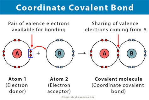 Covalent Bond Vs Coordinate Covalent Bond The Difference Between Covalent And Coordinate Covalent Covalent Bond Vs Coordinate Covalent Bond The Difference Between Covalent And Coordinate Covalent