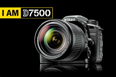 D7500 Release Date Compared to Canon EOS 90D: Which Comes First?
