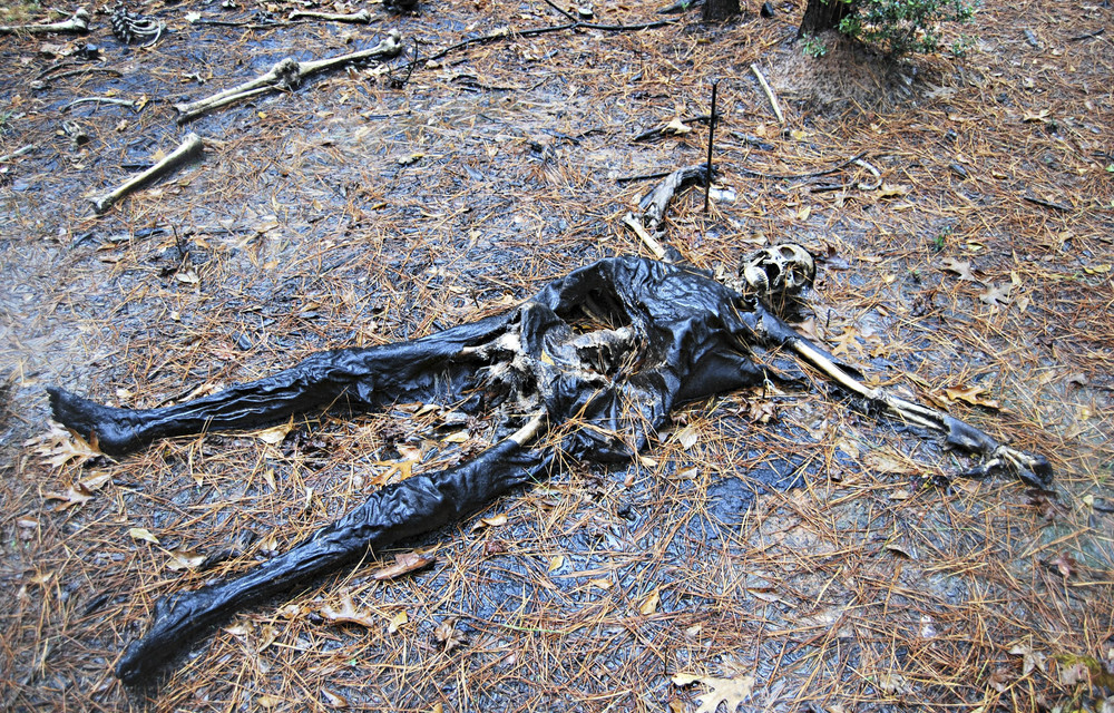 Dead Space Pc Games Database De Wir Wissen Wie S Bewertet Wurde Dead Space Pc Games Database De Wir Wissen Wie S Bewertet Wurde