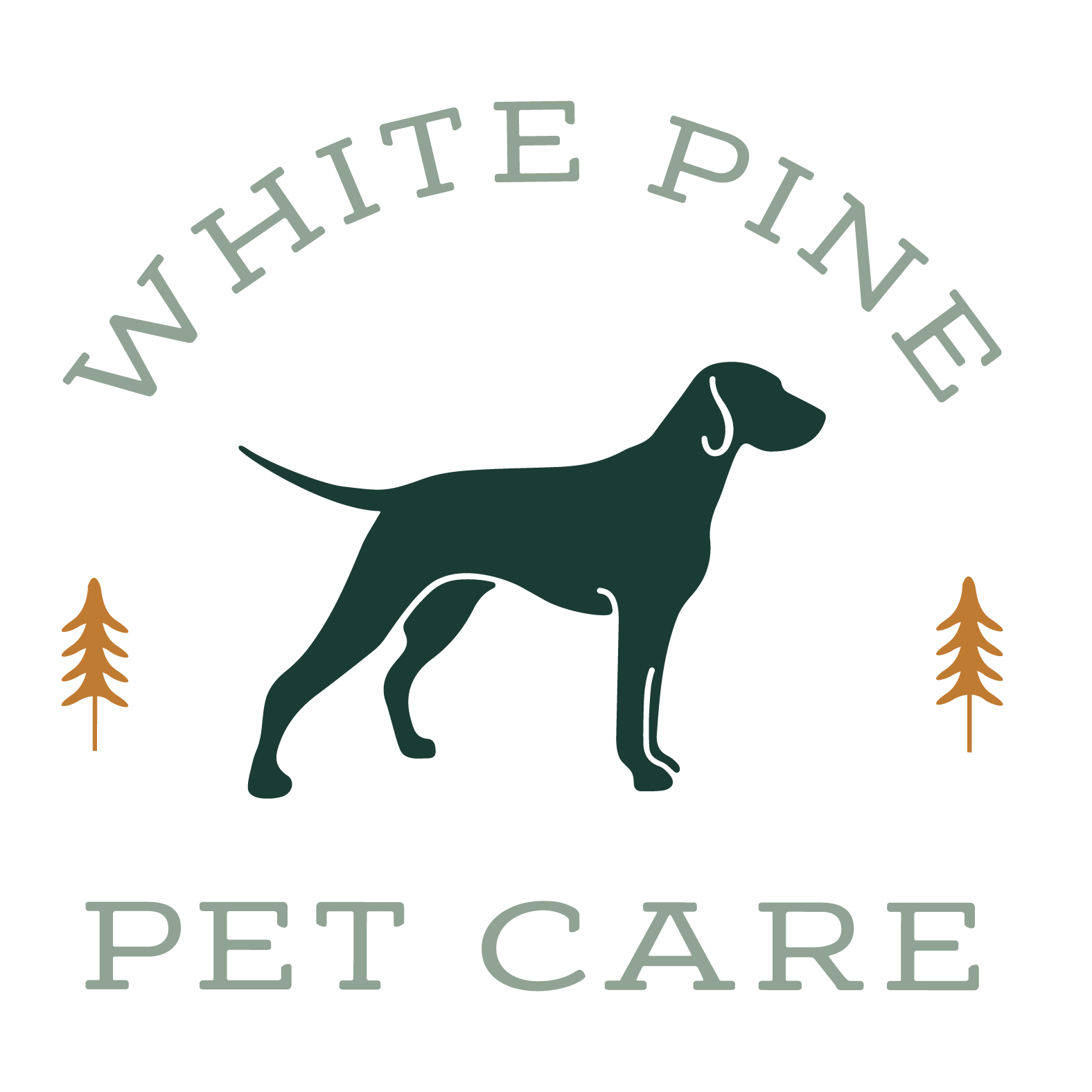 Dermatology Pet Care Tips