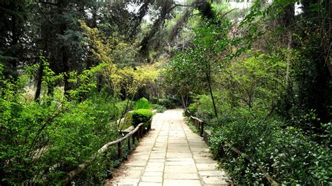 Diomidous Botanical Garden In Athens Greece Greeka