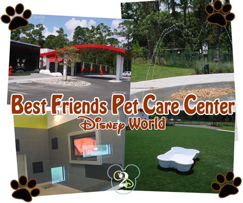Disney World Training Best Friends Pet Care Center Disney World Training Best Friends Pet Care Center