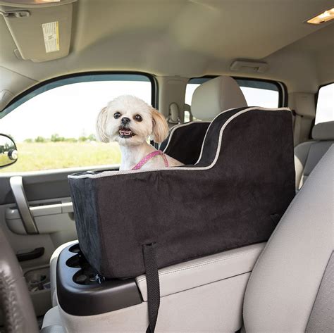 5 Dog Car Chair Tips
