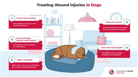 Dog Wound Care At Home