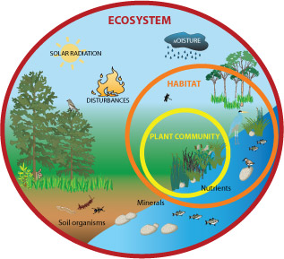 Ecosystem Map Template For Community Collaboration Visible Network Labs