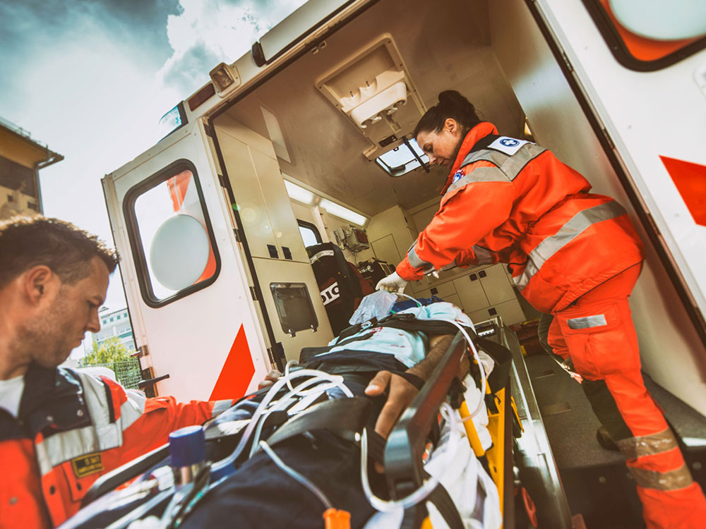 Emergency Vet In Warwick Ri Veterinary Emergency Group