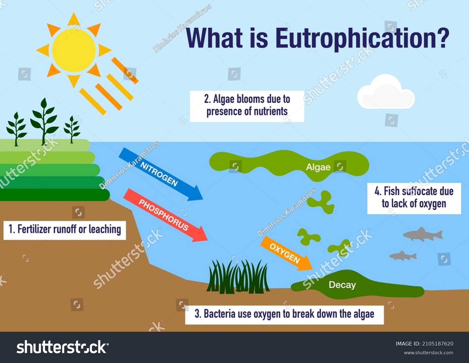 Eutrophication Monitoring For Sustainable Development In Nha Trang Marine Protected Area Vietnam