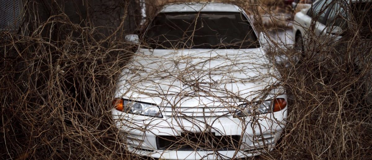 Fact Check This Electric Car Cemetery Is Not In France It S In Fact Check This Electric Car Cemetery Is Not In France It S In