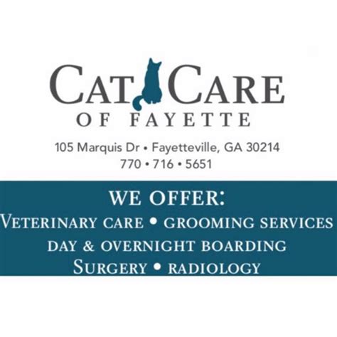 5 Tips Fayette Cat Care