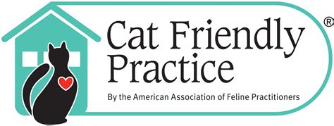 Feline Veterinary Care Cat Friendly Homes