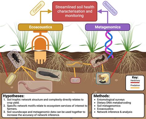 Foraging Tactics And Trophic Ecology Foraging Tactics And Trophic Ecology