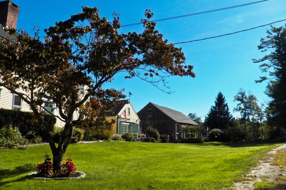 Fremont Animal Care Services