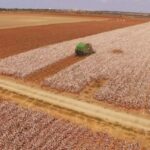 Functional Region Meaning