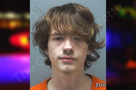 Discover the Rise of Gaven McGaha in Sports and Entertainment