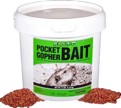 Understanding Gopher Poison: Risks, Identification, and Prevention Strategies